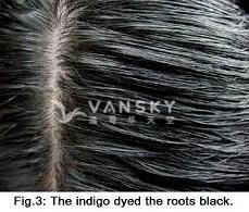 230421154021_Hair-Dyed with indigo-s.jpg